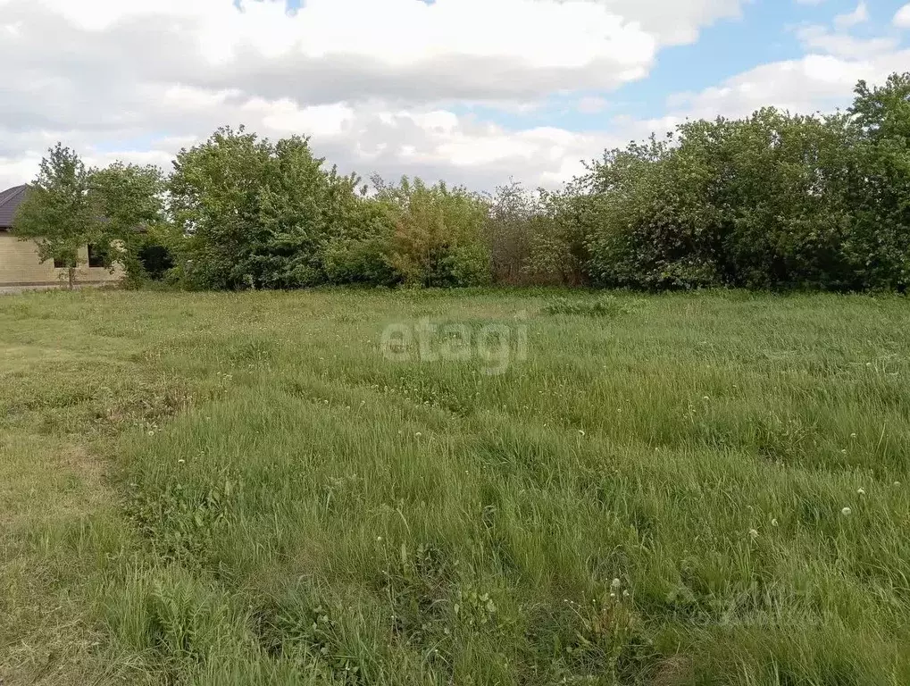 Участок в Воронежская область, Семилукский район, с. Губарево ул. ... - Фото 0