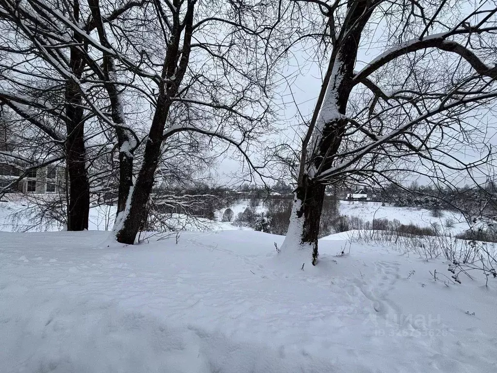 Участок в Московская область, Ступино городской округ, д. Прудно ул. ... - Фото 1