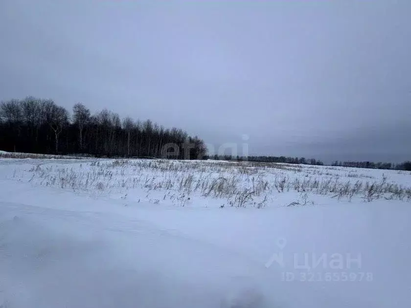 Участок в Тюменская область, с. Ярково ул. Профсоюзная (6.0 сот.) - Фото 0