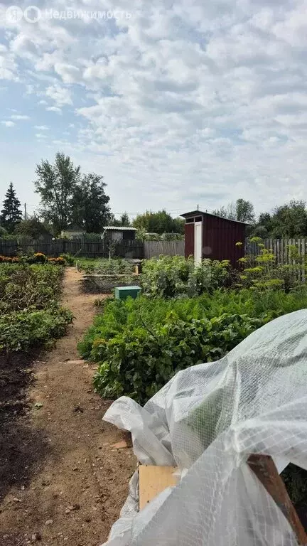 Участок в Ялуторовск, улица Ленина (4.8 м) - Фото 1