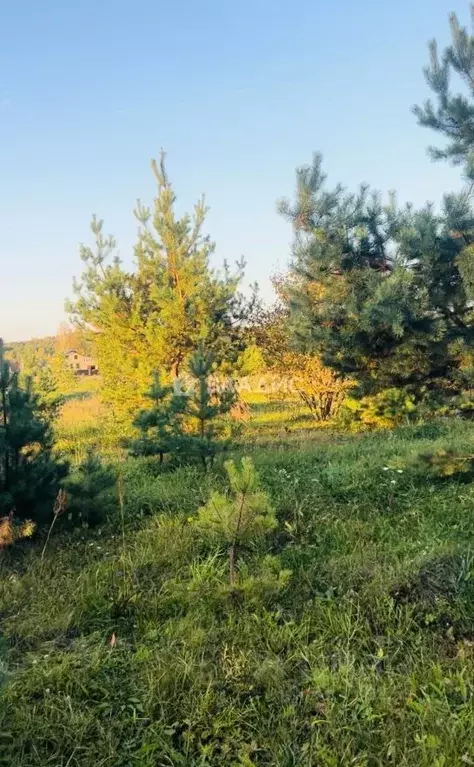 Участок в Владимирская область, Ковровский район, Доброград ... - Фото 0