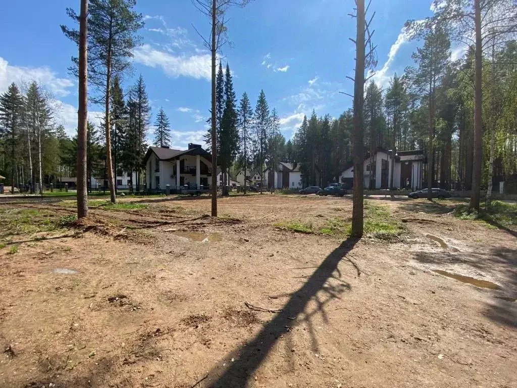 Участок в Коми, Сыктывдинский муниципальный район, с. Выльгорт ул. ... - Фото 2