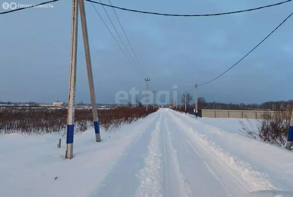 Участок в Тульская область, городской округ Тула, деревня Марьино (10 ... - Фото 2