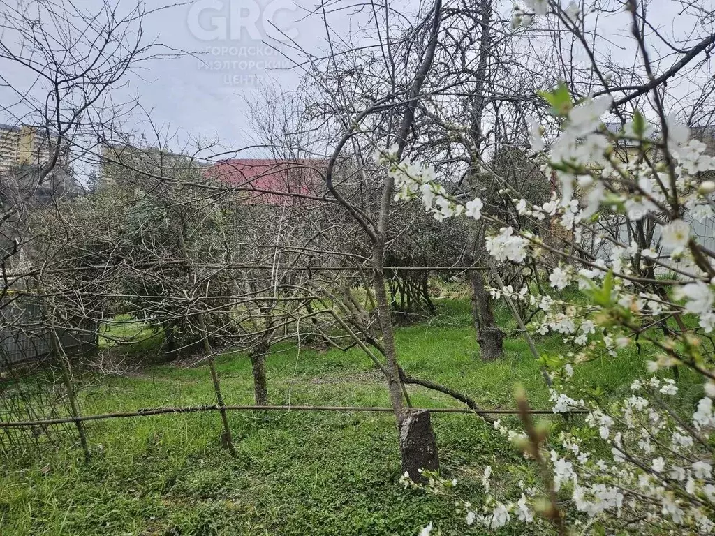 Дом в Краснодарский край, Сочи ул. Высокогорная, 4 (160 м) - Фото 2