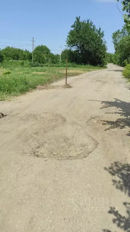 Участок в Ростовская область, Октябрьский район, Бессергеневское ... - Фото 1