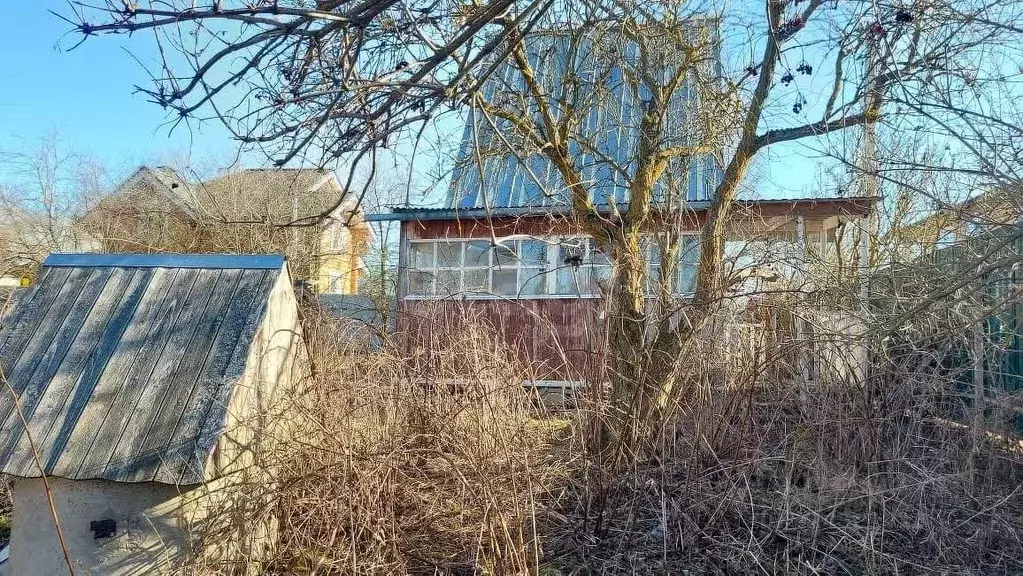 Участок в Калужская область, Жуковский муниципальный округ, с. ... - Фото 1