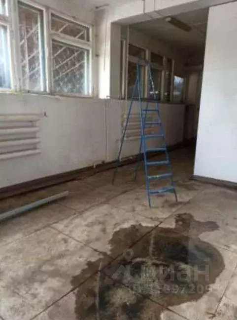 Помещение свободного назначения в Омская область, Омск просп. ... - Фото 1