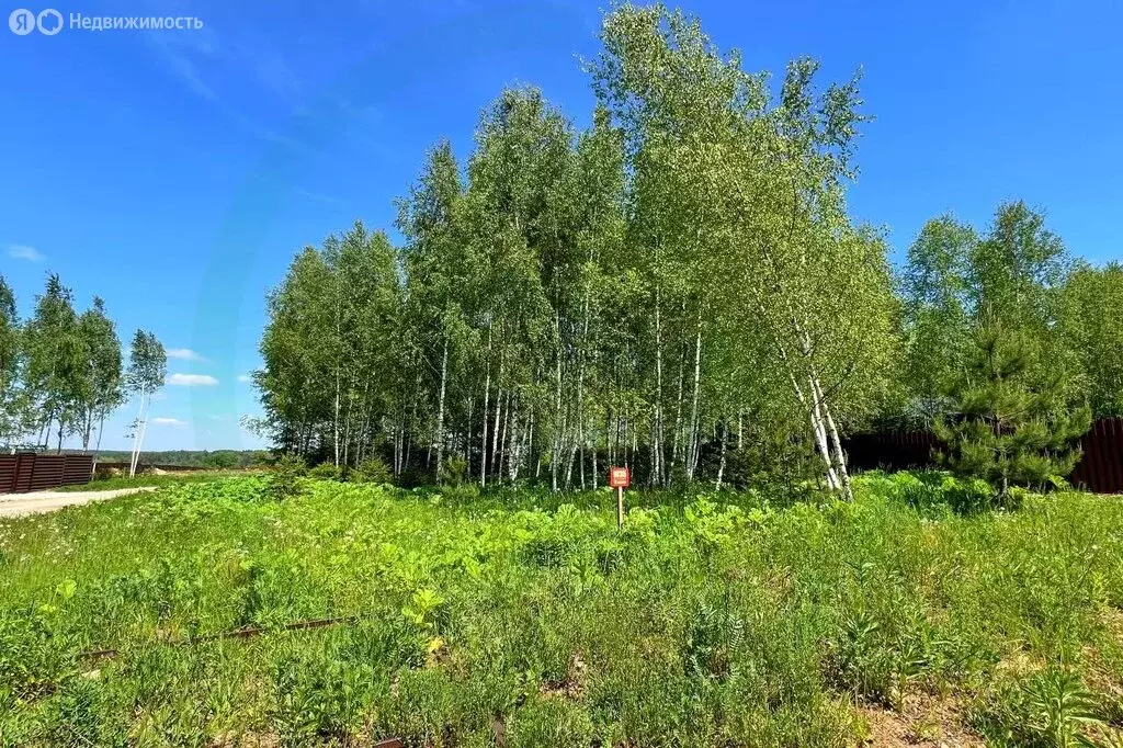 Участок в Московская область, городской округ Ступино, коттеджный ... - Фото 1