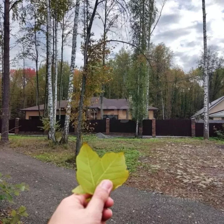 Дом в Тюменская область, Нижнетавдинский муниципальный округ, с. ... - Фото 2