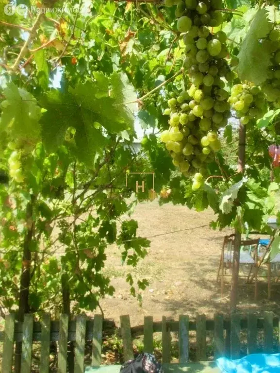 Дом в Сакский район, село Веселовка, Новая улица, 65 (47.3 м) - Фото 2