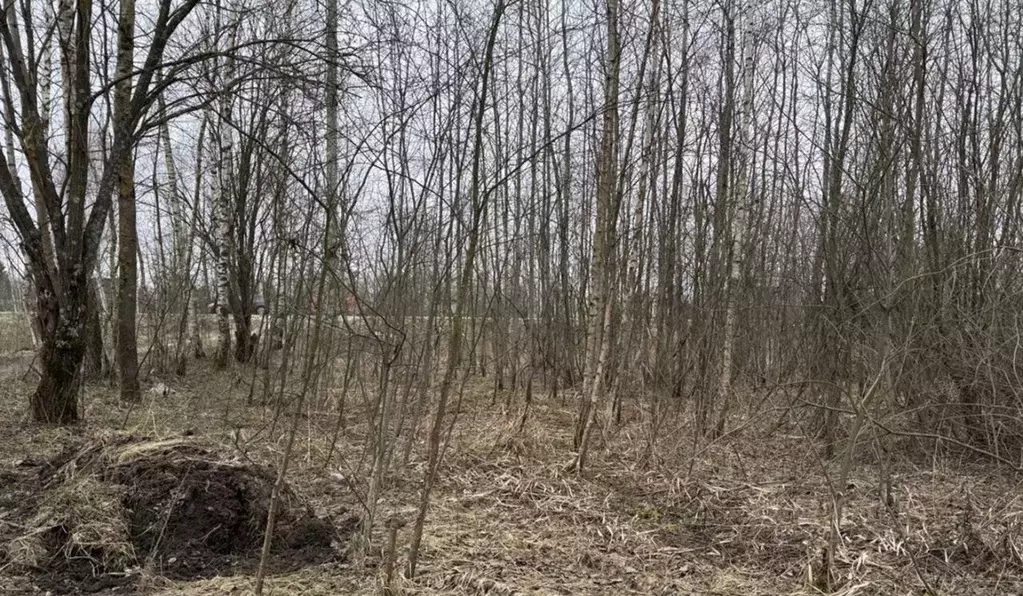 Участок в Московская область, Орехово-Зуевский городской округ, пос. ... - Фото 1