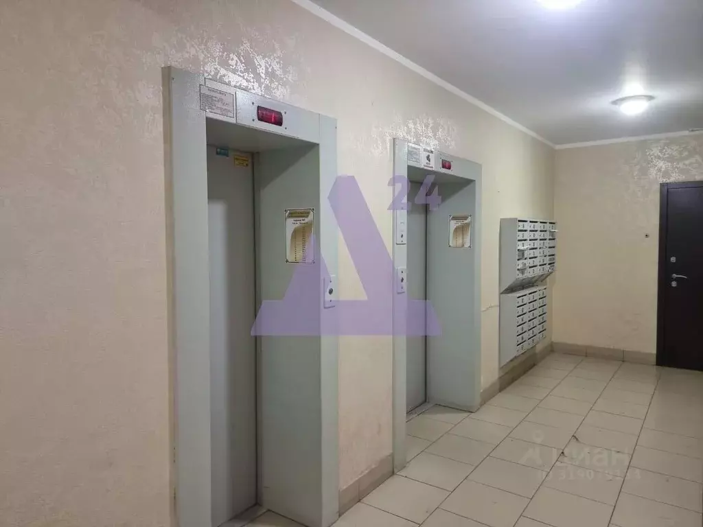 Студия Алтайский край, Барнаул Интернациональная ул., 101 (31.5 м) - Фото 1