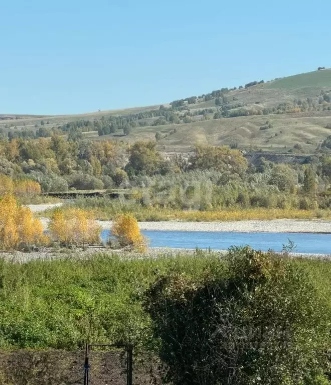 Участок в Алтай, Майминский район, с. Соузга Набережная ул. (6.9 сот.) - Фото 1