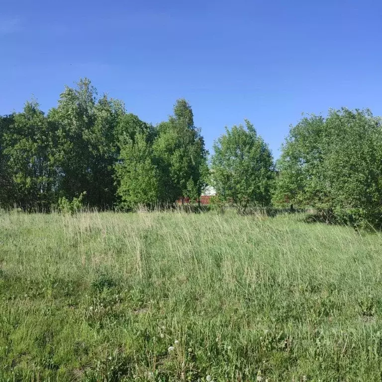 Участок в Московская область, Павлово-Посадский городской округ, д. ... - Фото 0