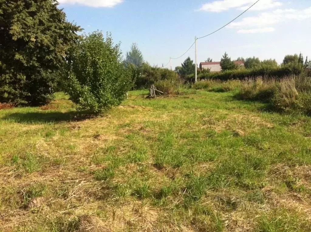 Участок в Московская область, Коломна городской округ, д. Жиливо ул. ... - Фото 2