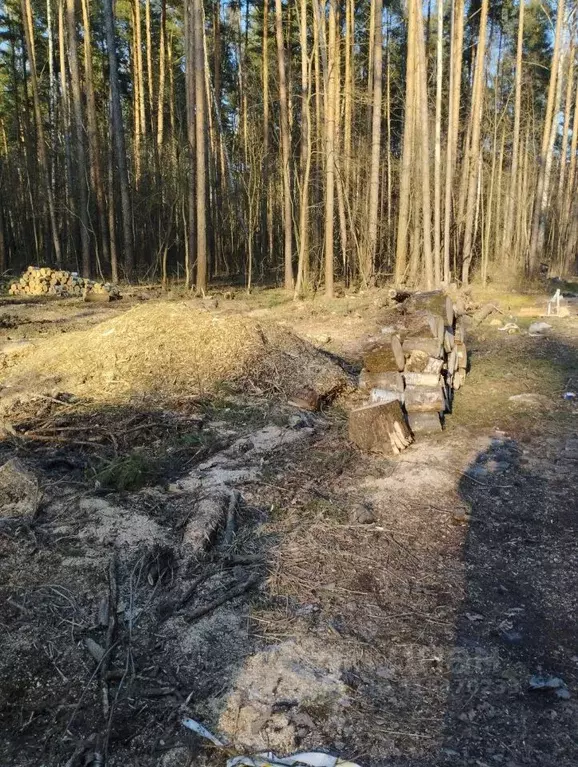 Участок в Московская область, Богородский городской округ, Родное ... - Фото 0