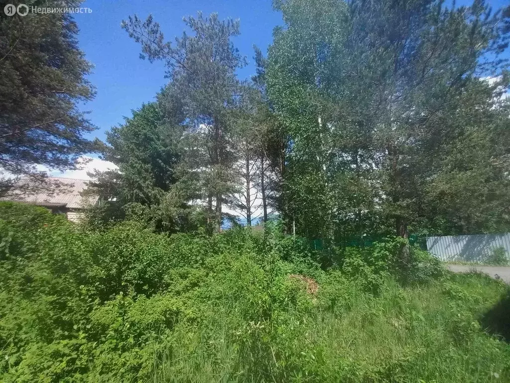 Участок в Куйвозовское сельское поселение, садоводческий ... - Фото 1