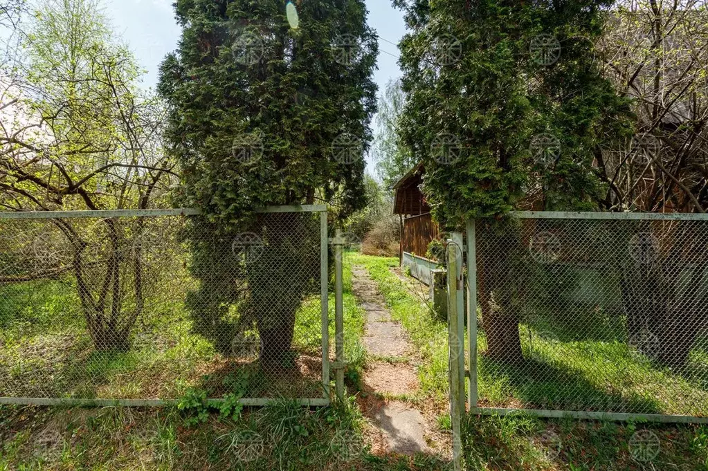 Участок в Московская область, Богородский городской округ, СНТ ... - Фото 2