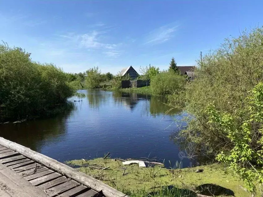 Участок в Курганская область, Белозерский муниципальный округ, д. ... - Фото 1