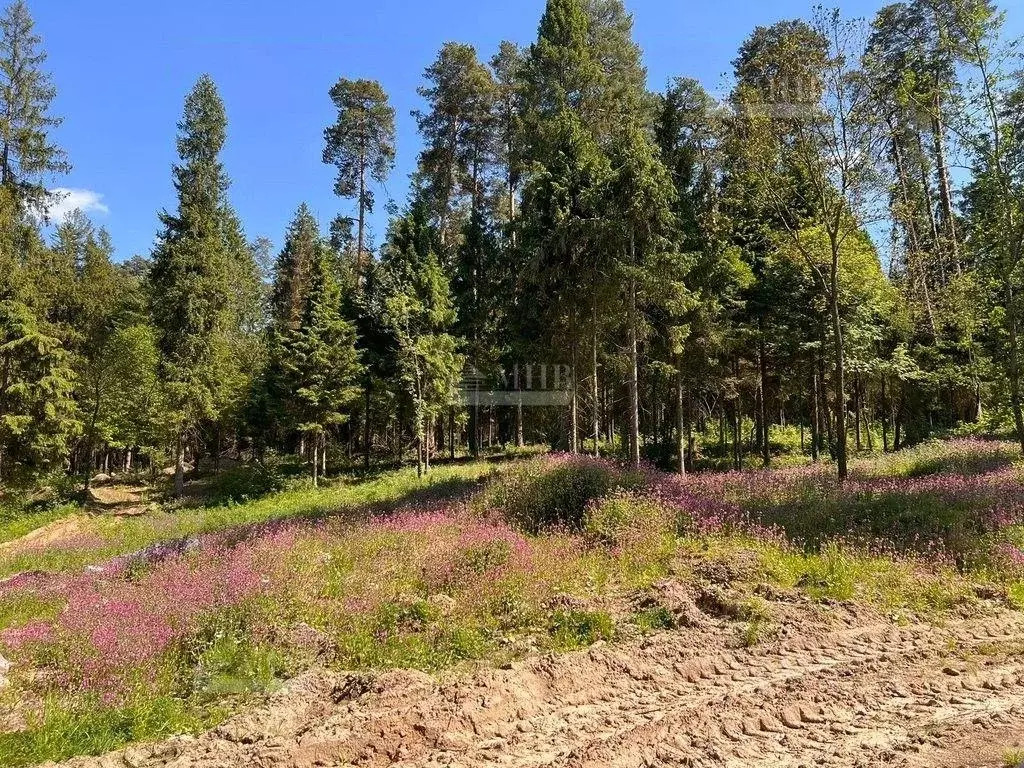 Участок, 160 сот., поселения (ижс) - Фото 1