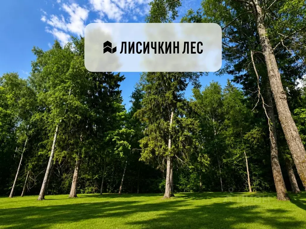 Участок в Московская область, Солнечногорск городской округ, Лисичкин ... - Фото 1