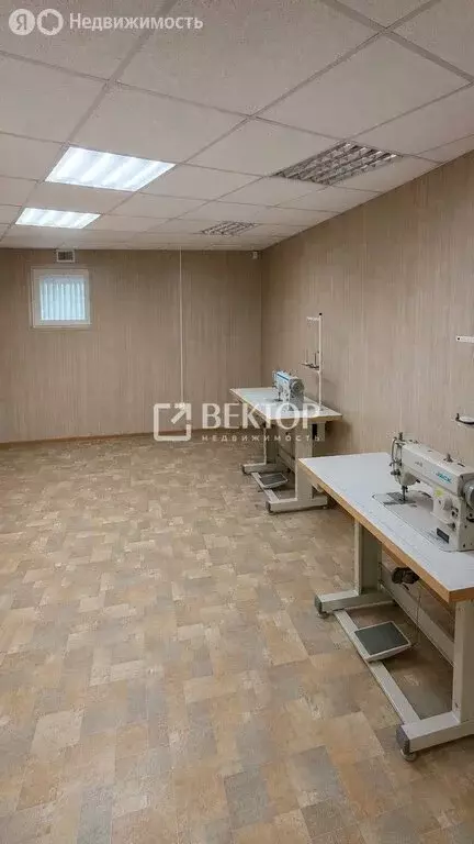 Офис (86.1 м) - Фото 1