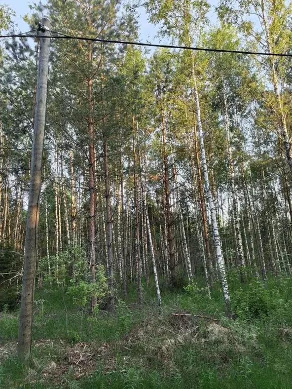 Участок в Московская область, Лотошино муниципальный округ, с. ... - Фото 1