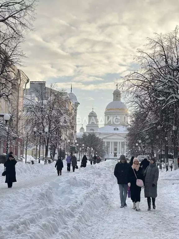 2-к кв. Пензенская область, Пенза Московская ул., 24 (39.5 м) - Фото 1