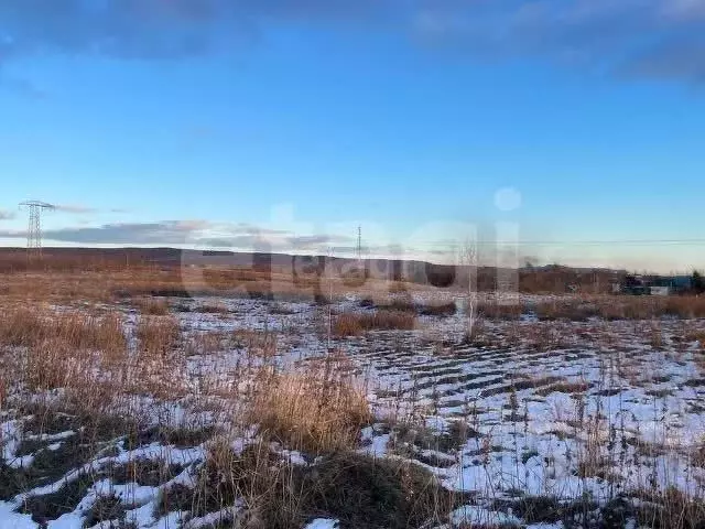 Участок в Камчатский край, Елизовский муниципальный округ, Кедровый ... - Фото 1