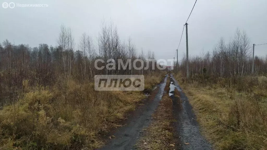 Участок в Тюменская область, Ишимский муниципальный округ, посёлок ... - Фото 1