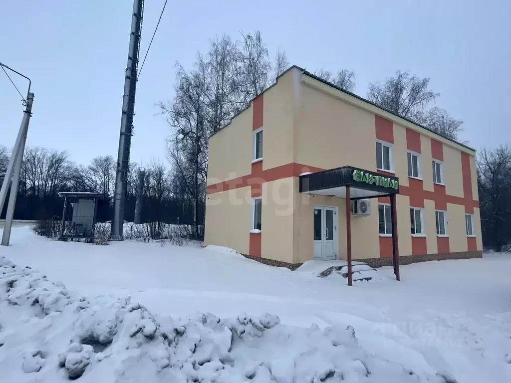 Торговая площадь в Тамбовская область, Тамбов городской округ, с. ... - Фото 2