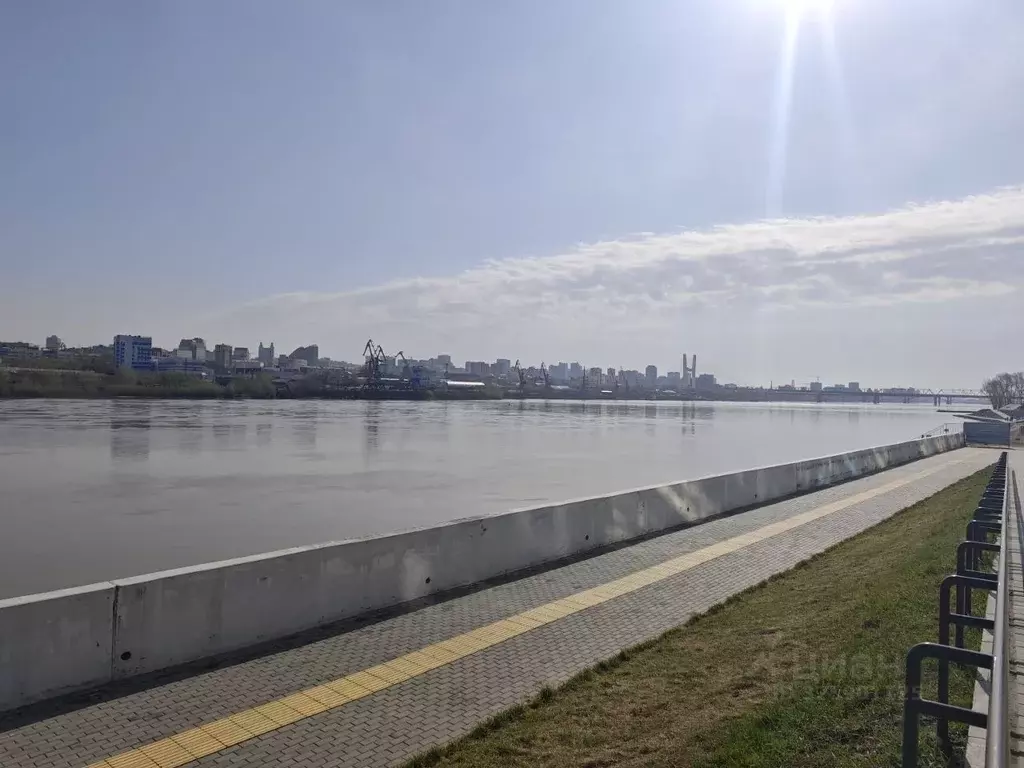 3-к кв. Новосибирская область, Новосибирск ул. Ясный Берег, 17 (82.0 ... - Фото 1