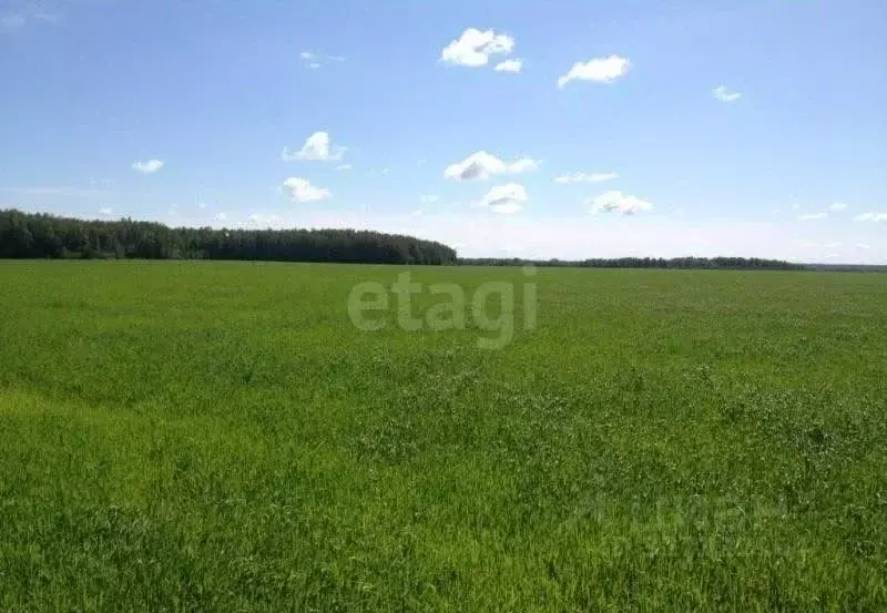 Участок в Ярославская область, Любимский муниципальный округ, д. ... - Фото 1