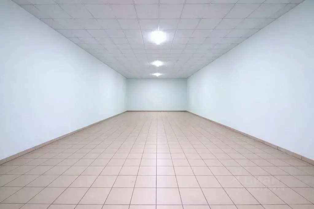 Торговая площадь в Москва Варшавское ш., 14С14 (440 м) - Фото 2