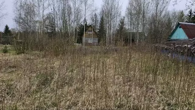 Участок в Ленинградская область, Лужский район, Мшинское с/пос, ... - Фото 1