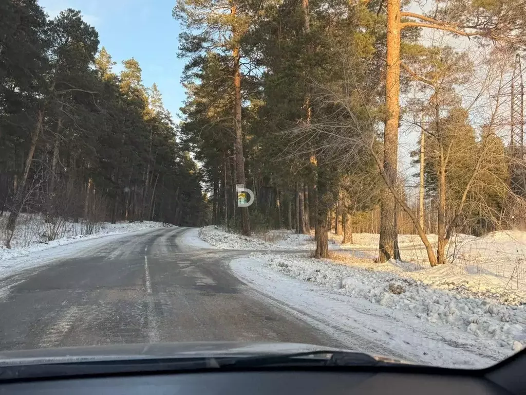 Участок в Алтайский край, Первомайский район, с. Зудилово, Звездный ... - Фото 1