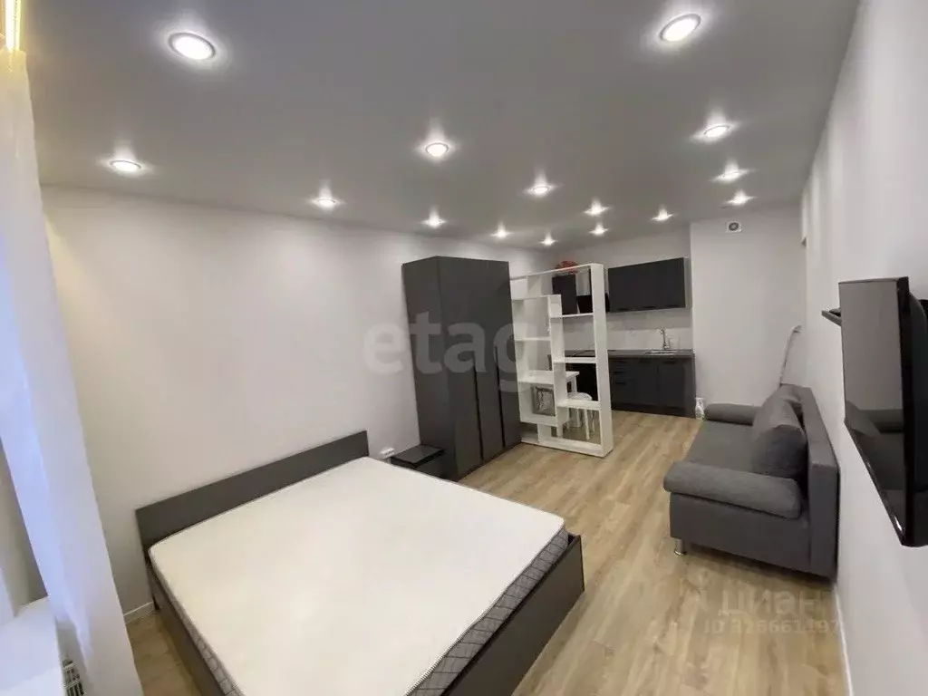 Студия Ленинградская область, Мурино Всеволожский район, просп. ... - Фото 1