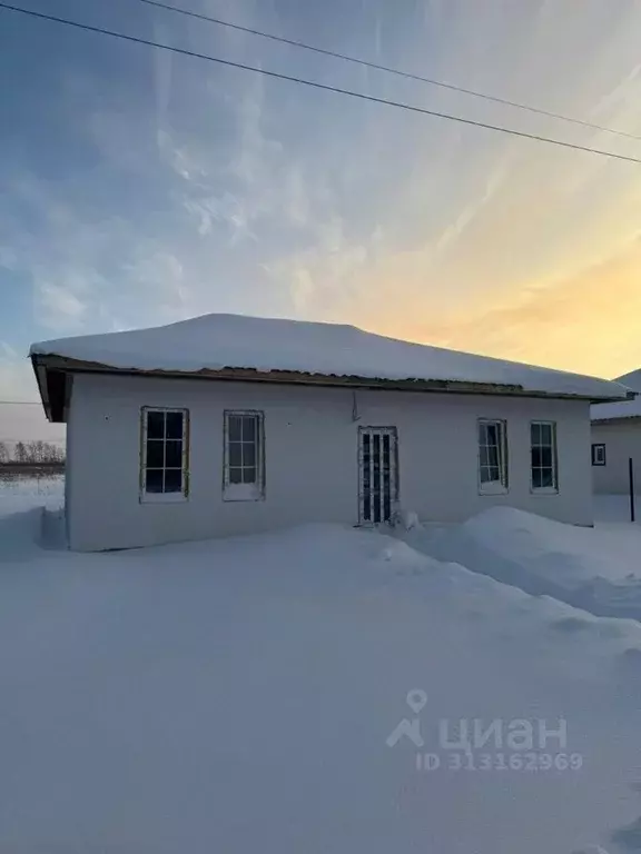 Дом в Омская область, Омский район, Магистральное с/пос, Деревня ... - Фото 0