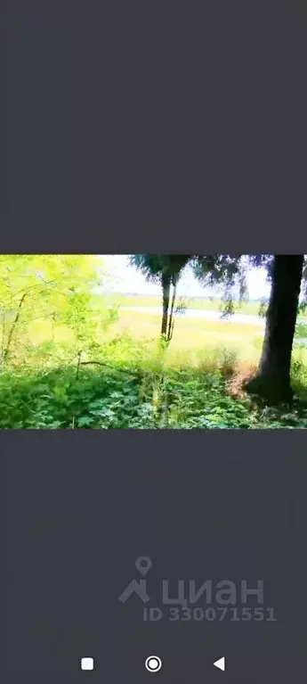 Участок в Владимирская область, Гороховецкий муниципальный округ, д. ... - Фото 2