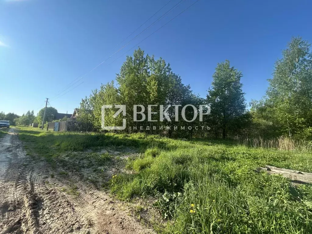 Участок в Ивановская область, Приволжский район, Плесское городское ... - Фото 1