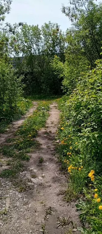 Участок 5,8 сот. (СНТ, ДНП) - Фото 1