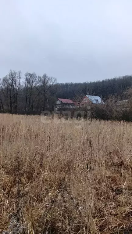 Участок в Мордовия, Рузаевский район, пос. Левженский  (11.0 сот.) - Фото 2
