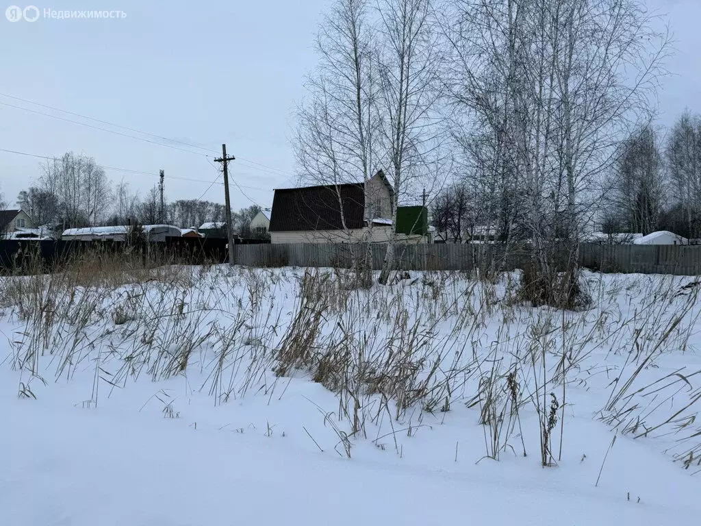 Участок в Челябинская область, Сосновский муниципальный округ, СНТ ... - Фото 2