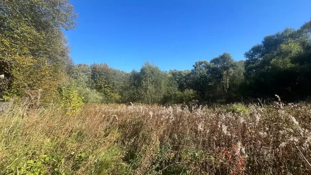 Участок в Московская область, Истра муниципальный округ, д. Бодрово 29 ... - Фото 1