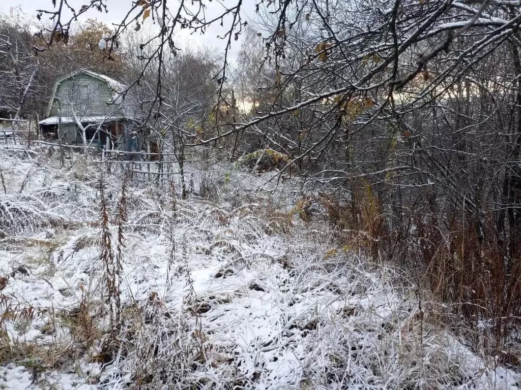 Участок в Нижегородская область, Нижний Новгород Маяк садовое ... - Фото 0