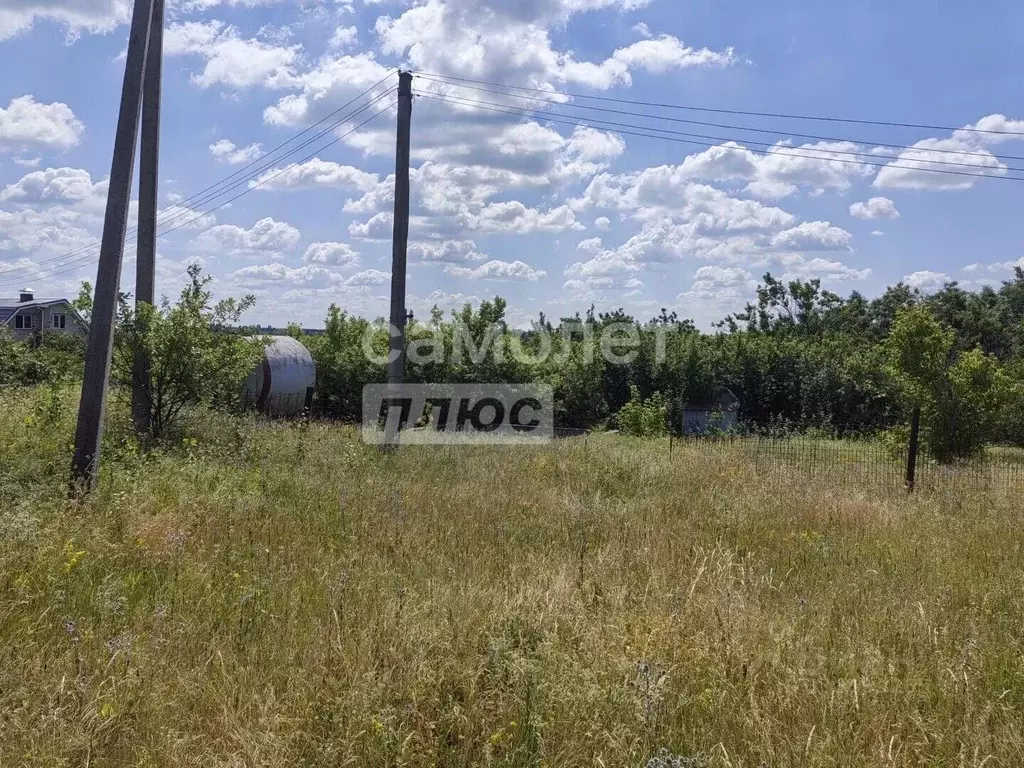 Участок в Воронежская область, Новоусманский район, с. Рогачевка ул. ... - Фото 2