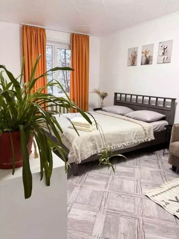 1-к кв. Пермский край, Губаха Октябрьский просп., 7Б (30.0 м) - Фото 1