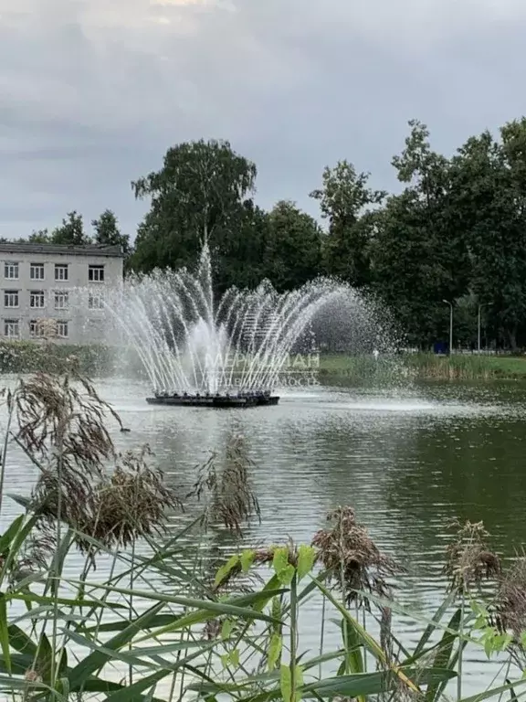 2-к кв. Нижегородская область, Богородск ул. Свердлова, 1 (55.2 м) - Фото 2