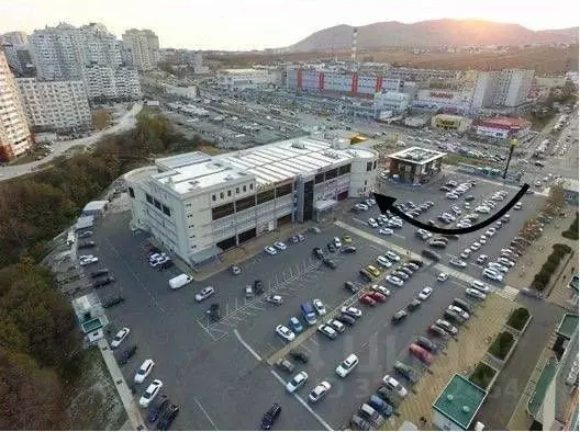 Помещение свободного назначения в Краснодарский край, Новороссийск ... - Фото 1