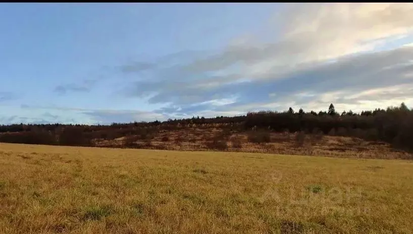 Участок в Московская область, Сергиево-Посадский городской округ, д. ... - Фото 1